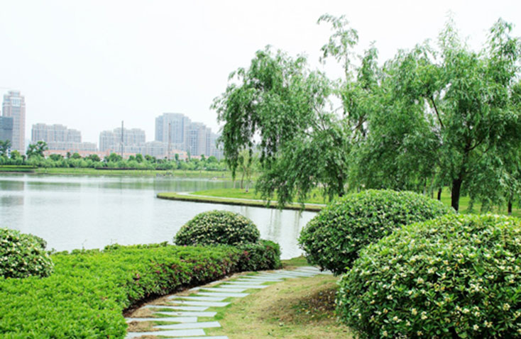 高教園區(qū) 高教園區(qū)