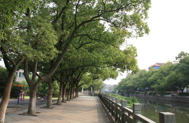 邱隘鎮(zhèn)公共綠地 邱隘鎮(zhèn)公共綠地